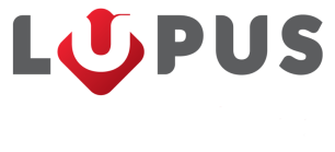 Logo Liceum dla Młodzieży i Dorosłych 